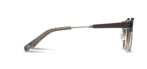 Shwood Ainsworth (Polarized)
