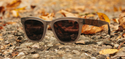 Shwood Ankeny Acetate (Polarized)