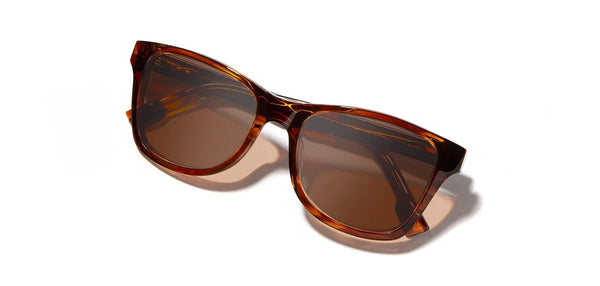 Shwood Canby XL Acetate (Polarized)