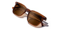 Shwood Hamilton (Polarized)