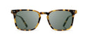 Shwood Hamilton (Polarized)