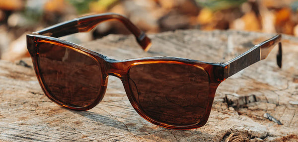 Shwood Canby XL Acetate (Polarized)