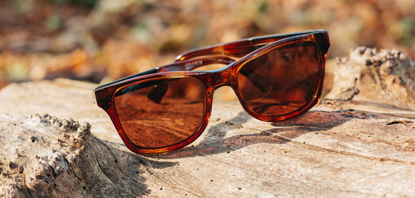 Shwood Canby XL Acetate (Polarized)